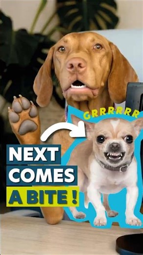 Science on Dog Growling