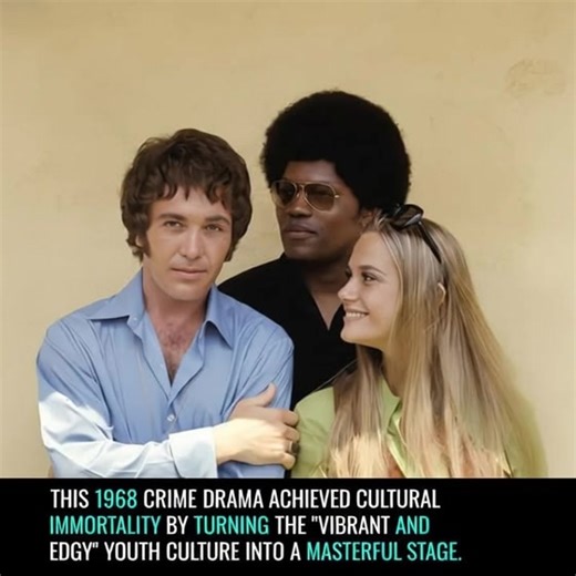 The Mod Squad (1968–1973) reached a state of cultural immortality as the definitive "counter-culture" series of the 1960s. Starring Michael Cole, Clarence Williams III, and Peggy Lipton, the series turned the "rugged urban landscape" into a masterpiece of social documentation. The show’s brilliance relied on its technical mastery of "cool" aesthetics and its unwavering commitment to exploring shifting norms. Historians honor the series as a radiant milestone in the history of television diversit