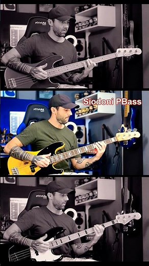 Jazz Bass vs Precision Bass vs Precision 51