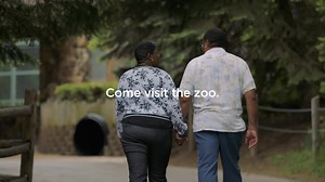 8.1K views · 21 shares | Check out one of our latest TV commercials and visit the Zoo today to experience all of the fun, family-friendly, and educational programs we have to offer! Visit senecaparkzoo.org to learn more. | Seneca Park Zoo | Facebook