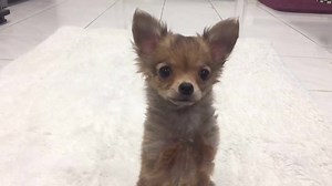 2.2K views · 11K reactions | Good morning! | The Mia Foundation - Love For Mia | Facebook