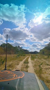Lekker Botswana Cutline driving.... #botswana #transafricatours #tasafaris #trans_africa_tours #ariewarie #oppositelock #conqueror #Bushtechcanopies #ironman4x4africa #leatherandcanvas #onca #maxxistyres #skinsoothe #m_tech_communications #4x4_assist #manuprum #ubuntoe #maxxis #snappymeals #diekiaatbraaiplank1 #blessedlife | Trans Africa Self Drive Adventures and Tours