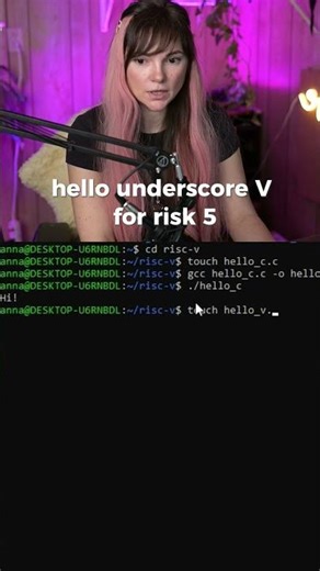 Understanding Assembly Extensions #programming #lowlevelprogramming #riskv