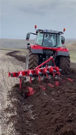 A MASSEY FERGUSON TRACTOR IS PLOWING THE FIELD.