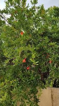 Hidden village in Oman?! 😱 | Wakan Village| Simply Curious