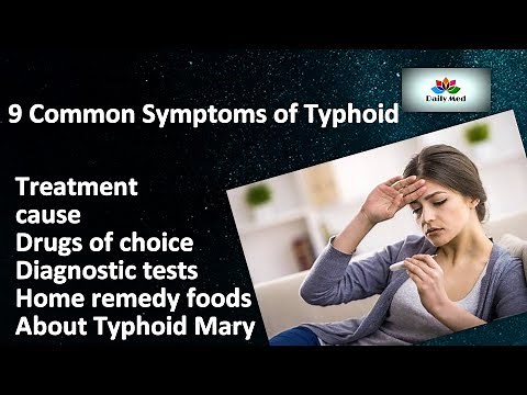 Typhoid Fever | Pathogenesis (vectors, bacteria), Symptoms, Diagnosis and Treatment