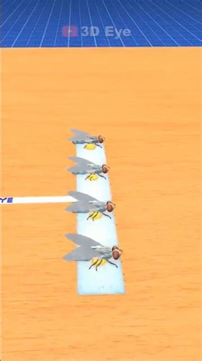 why Fly Airplane 😱 | 3D Animation explained in 3d #explorepage #166 #viral