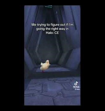 halo meme compilation #dankememes #comedyvideos #memeclip