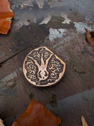 Mässings-edc 'FLIP ME' oromynt. Ristat Aldrig Ensam i Död Kung Silverbrons - Etsy Sverige