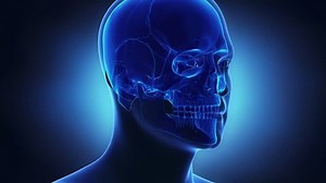 Skull bones in x-ray