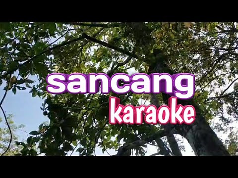 S4ncang karaoke