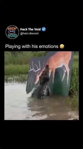 Analligator_is_a_large_carnivorous_reptile_that_lives_mostly_in_freshwater_environments_like_swamps_