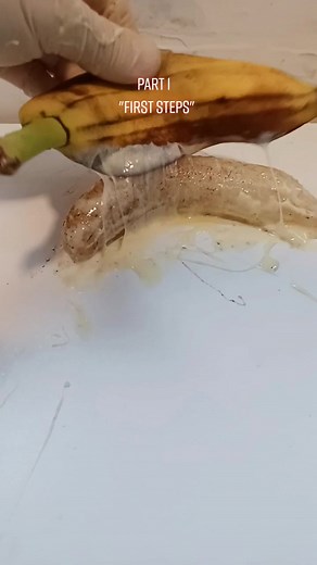 Lab Banana 2022 Update, Business and Growth Explained