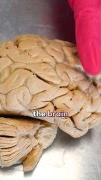 The Power of LSD