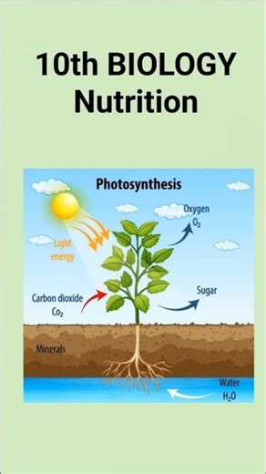 10th Nutrition Lesson | 10th Biology | DSC/Trt | DSC preparation | MCQ |Revision |#@learningbits2428