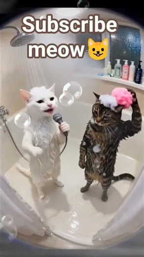 #ViralCats 😹 Hilarious Duo Steals the Spotlight! #shorts