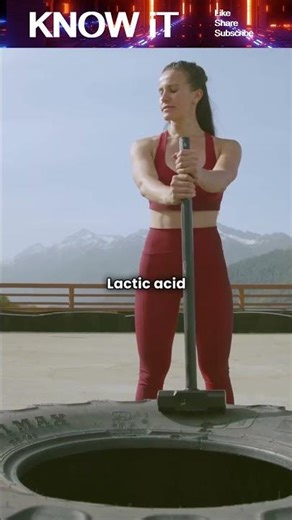 Why Do Our Muscles Feel Sore After Exercise?