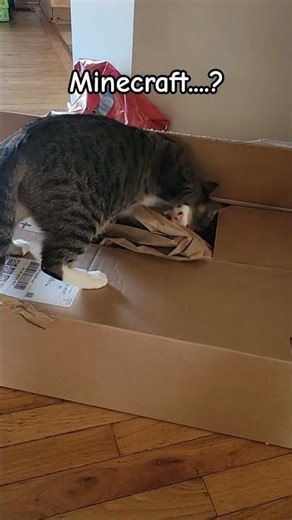 Digging for Netherite