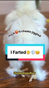 Funny Fart Moment with Chicken Filter