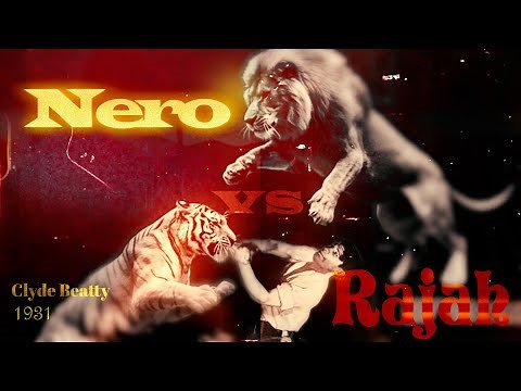 Big Boss Lion vs 600lb Tiger – The True 1931 Fight That Saved Clyde Beatty