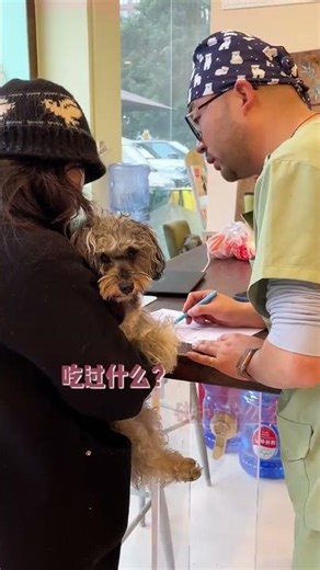 The Ultimate Dream Pets: 4 Types Veterinarians Adore