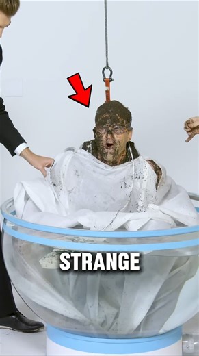 Tea Bag Under The MICROSCOPE 😱