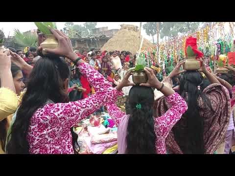 Dinesh Bharati circus video ♥️8114582916🩵💚♥️❤️💜💙