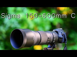 Sigma 150-600mm C Review after 1 year