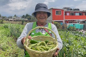 Young women promote agro-ecological initiative