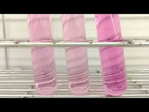 Potassium permaganate and Oxalic acid reaction.