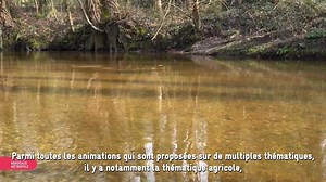 Connaissez-vous le parc des Jalles ? 👀 Un écrin de nature préservé, parfait pour se ressourcer et profiter d’activités en plein air ! Balades à vélo, ateliers, visites guidées… Cet endroit a tout pour vous plaire. 😍 📍 Venez le découvrir et laissez-vous émerveiller par sa biodiversité unique Plus d'infos 👉️ https://fcld.ly/parcdesjalles Ville de Blanquefort Ville de Bruges Ville de Bordeaux Ville d'Eysines Ville du Taillan-Médoc Ville de Martignas-sur-Jalle Ville de Parempuyre Ville de Saint-