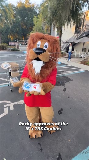 20 reactions | Step 1️⃣: package the cookies Step 2️⃣: hide cookies from Rocky #therockschool #christianeducation #ibworldschool #ibeducation #ibworldschool #ibcontiuum #rocky | The Rock School | Facebook