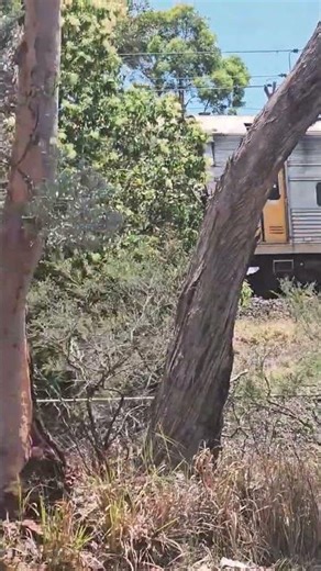 I LOVE THE V SET I LOVE THE V SET