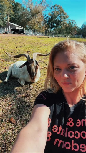 Cuidado de Cabras Boer: Experiencias de Worming