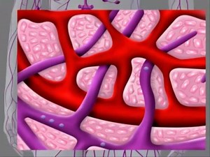 122K views · 639 reactions | Comprendre le rôle du système lymphatique en 1 minute chrono ! ⏱ Source : Di ane | Tout savoir sur la Médecine | Facebook