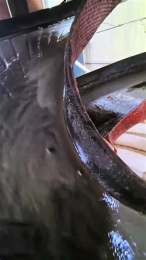 Spiral sluice-supported gold mines are environmentally friendly.