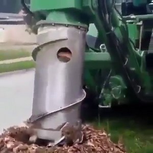 2.2M views · 21K shares | Different stump puller | Forestry Equipment in Action | Facebook