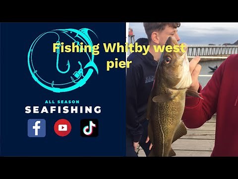 Fishing Whitby west pier