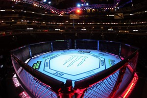 How to Watch UFC 316 Prelims: Live Stream Merab Dvalishvili vs Sean O'Malley 2 Undercard
