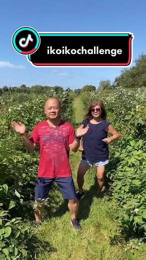 TikTok happens even in the midst of raspberry picking @tingtok7 #dance #ikoikochallenge #raspberry #keepgrowingwithtata