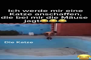 witziges Video 'Die Katze hat Angst vor der Maus' - FUNPOT