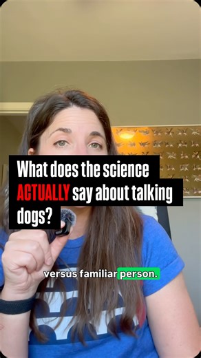 Parker: Talking Dog, Dentist, Noodle on Instagram: "What does the research on AIC buttons ACTUALLY say? I break it down for you in this video. Want more? Check out a fuller discussion on YT. #aic #talkingdogs #caninecommunication"