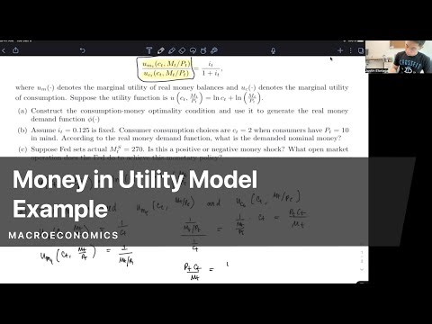 Money in Utility Model Example