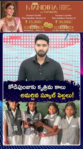Students create prosthetic foot for injured rooster |కోడిపుంజుకు కృత్రిమ కాలు అమర్చిన స్కూల్ పిల్లలు