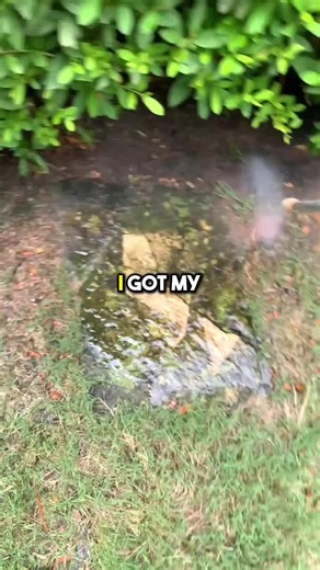 How I Landed My First Client in 7 Days with Zero Followers