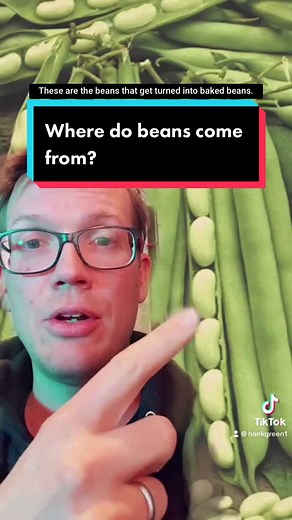 Unveiling the Hidden Meaning of Beans