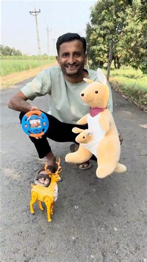 RC walking Kangaroo And Giraffe Unboxing