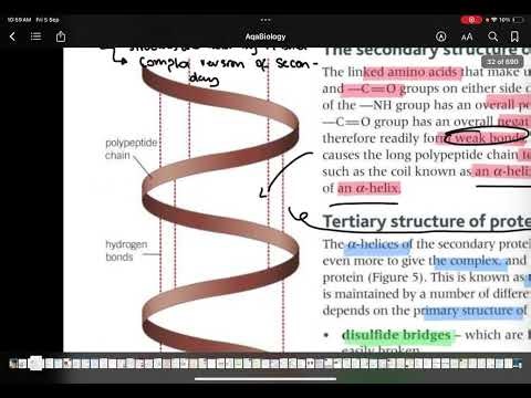 PROTIENS 101 AQA AS BIOLOGY