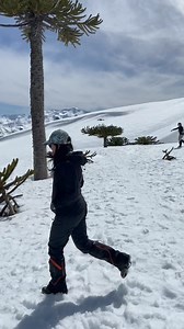 🌲✨ ¡Descubre y vive la magia del Parque Nacional Conguillío en la Araucanía, Chile! 🌋🌳 Si eres amante de la naturaleza y la aventura, Conguillío es el destino perfecto para ti. ¡Ven y vive una experiencia inolvidable! 🌍❤️ 🎥 @andrea_og2023 #destinosaraucania #Conguillío #Araucanía #Chile #TurismoChile #Naturaleza #Aventura #Viajes #ExploraChile #DescubreChile #ParqueNacionalConguillío | Destinos Araucanía