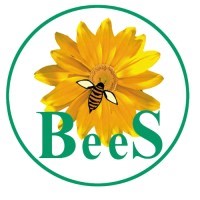 BeeS Software Solutions Pvt. Ltd | LinkedIn
